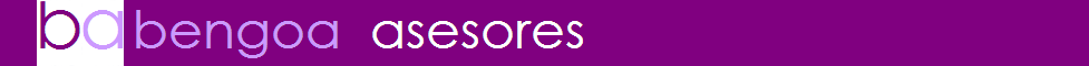 Bengoa Asesores - Acceso clientes